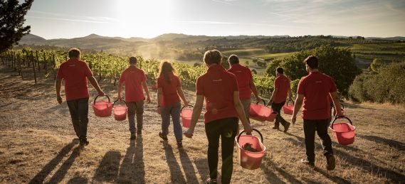 bindella wine tour