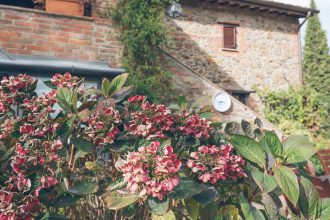 Paciano, Umbria Tuscany Review