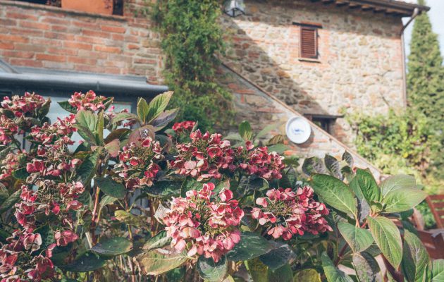 Paciano, Umbria Tuscany Review