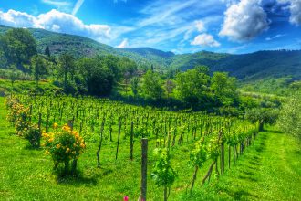 tuscany wine tour