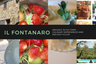 Organic Holiday in Italy