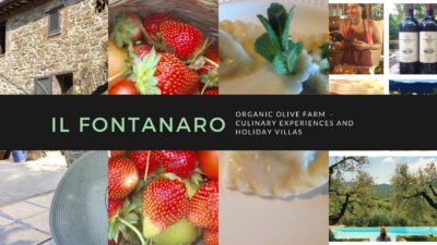 Organic Holiday in Italy