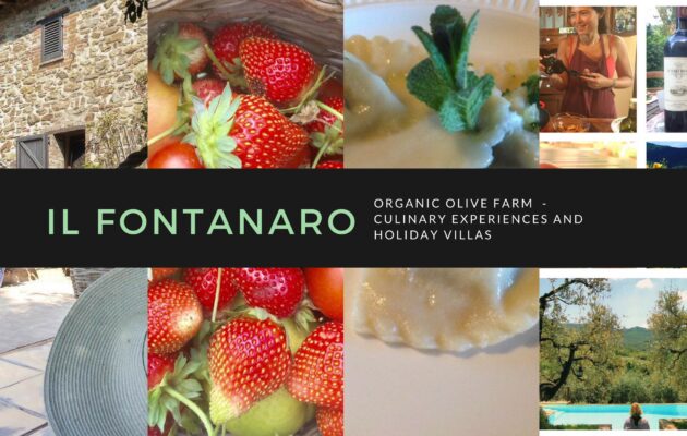 Organic Holiday in Italy