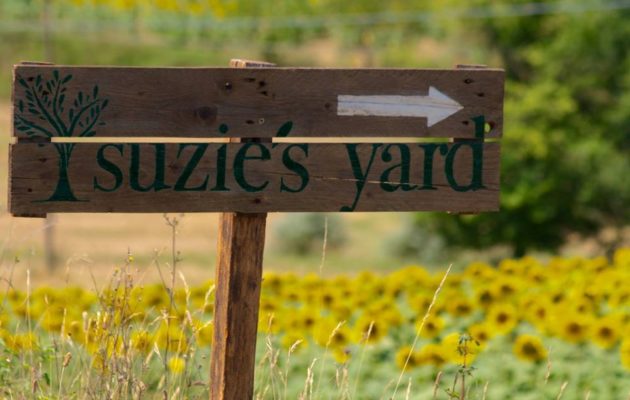 cetona suzies yard